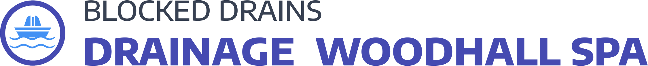 website logo